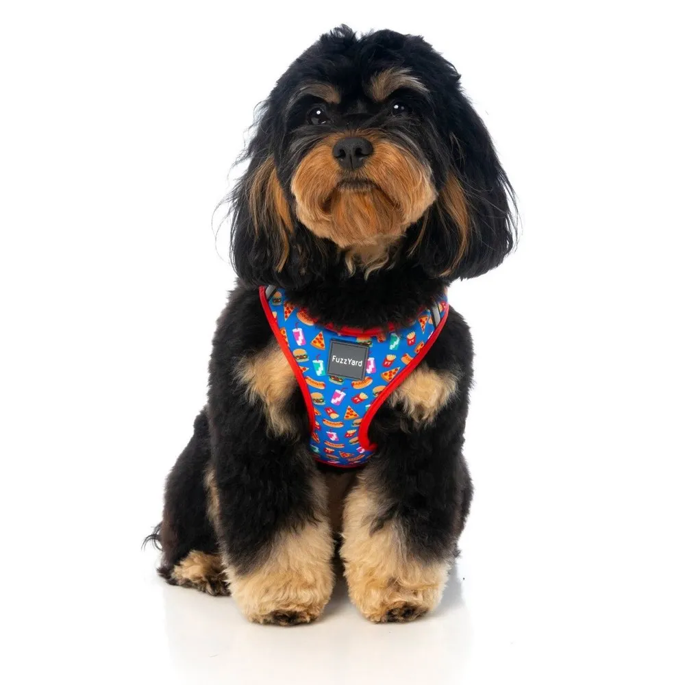 15% OFF: FuzzYard Supersize Me Dog Harness (Medium)