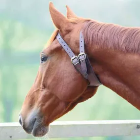 Anti Crib Collar