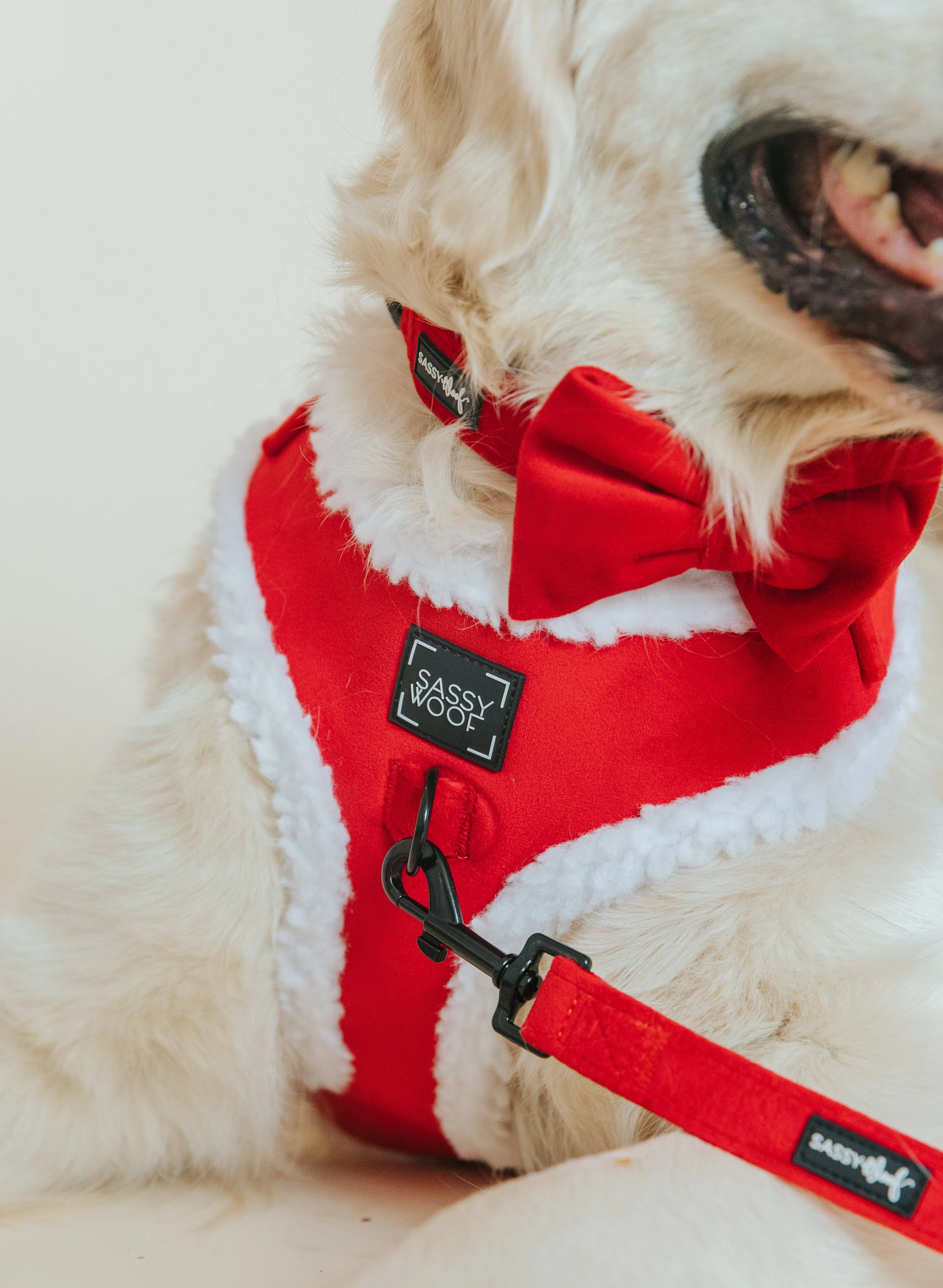 Bowtie - Naughty