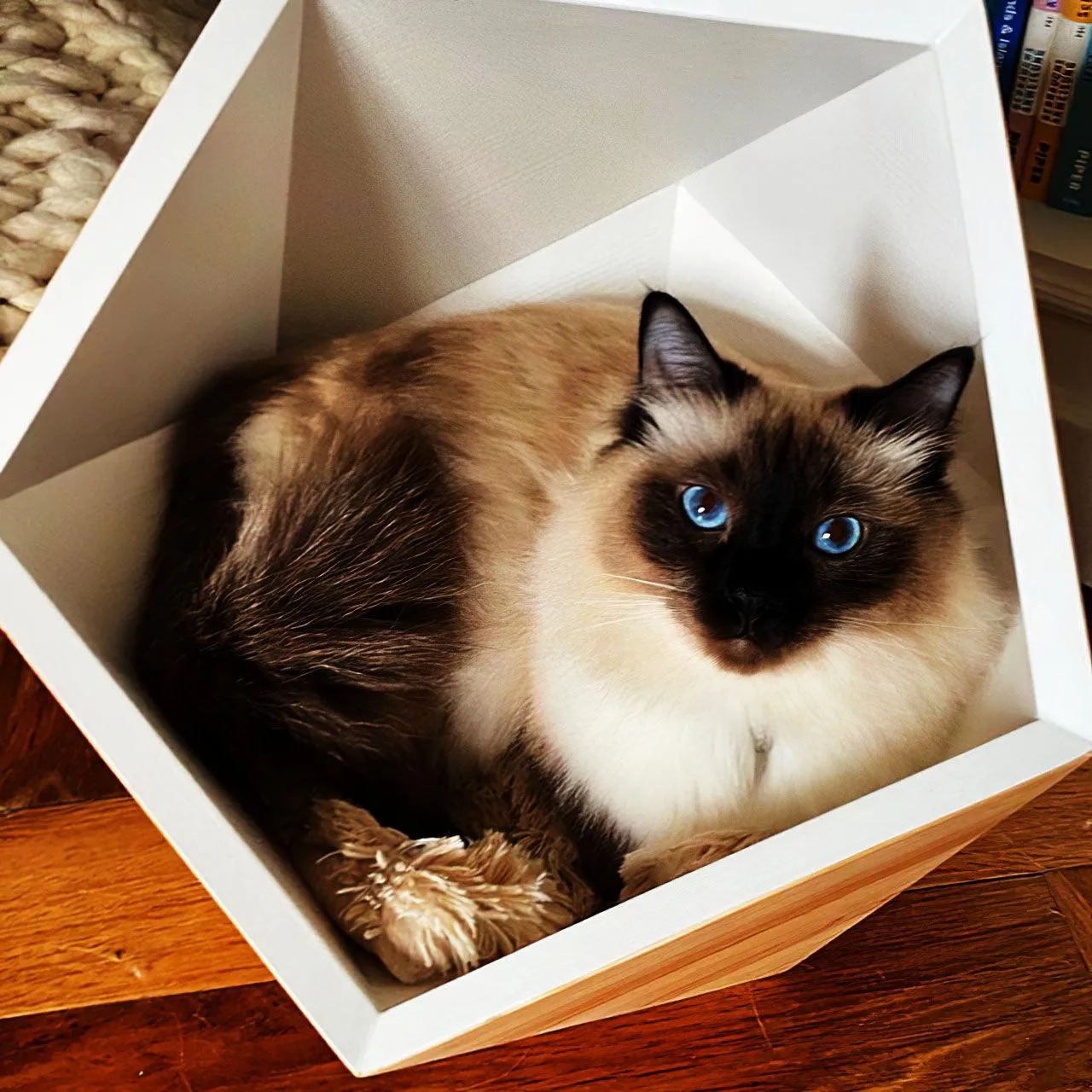 Catissa Geobed Cat Cave | Designer Cat Bed