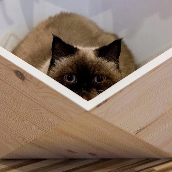 Catissa Geobed Cat Cave | Designer Cat Bed
