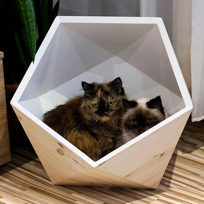 Catissa Geobed Cat Cave | Designer Cat Bed
