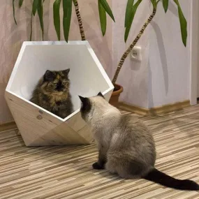Catissa Geobed Cat Cave | Designer Cat Bed