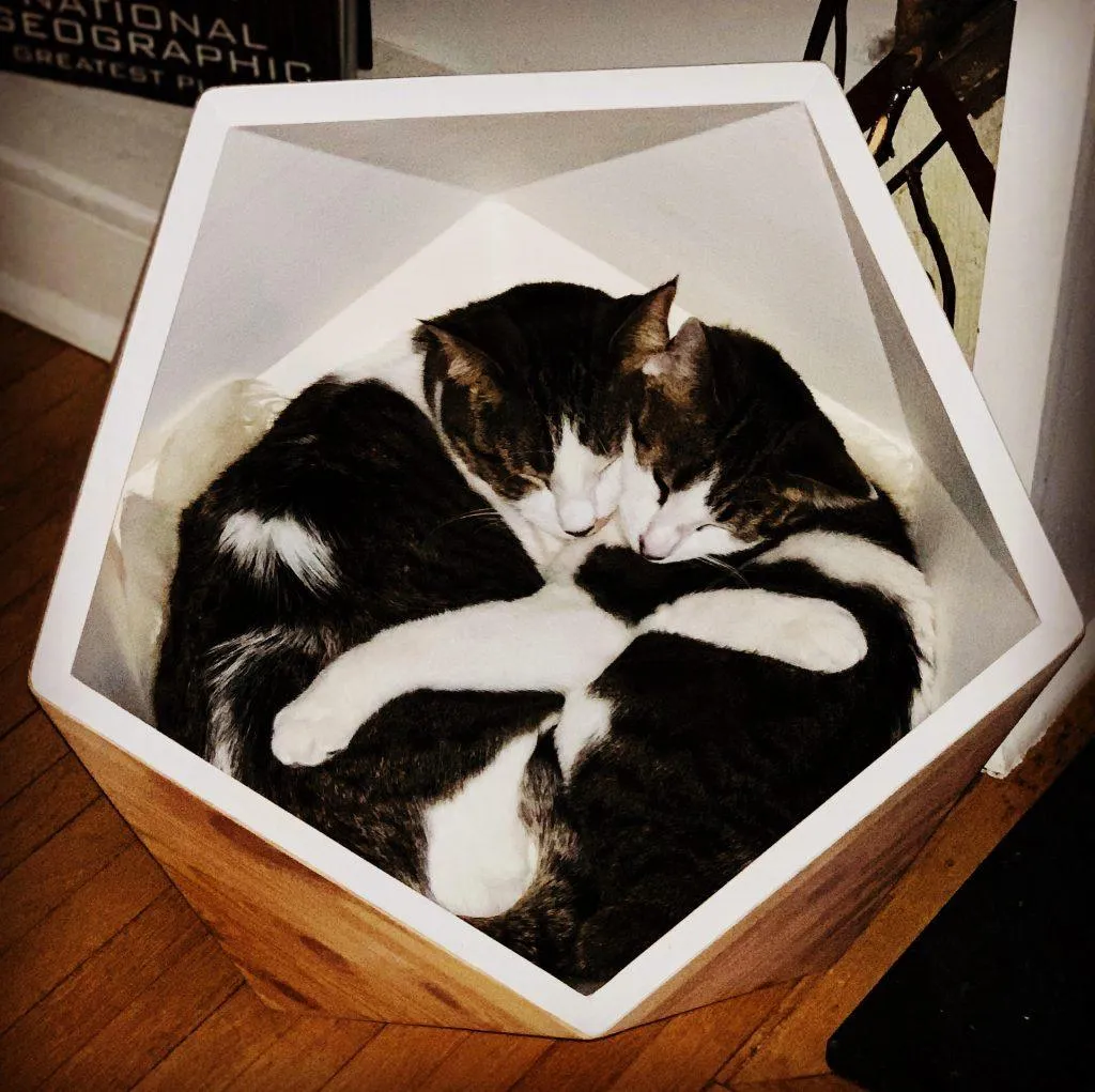 Catissa Geobed Cat Cave | Designer Cat Bed