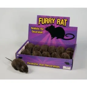Creepy Furry Black Rat