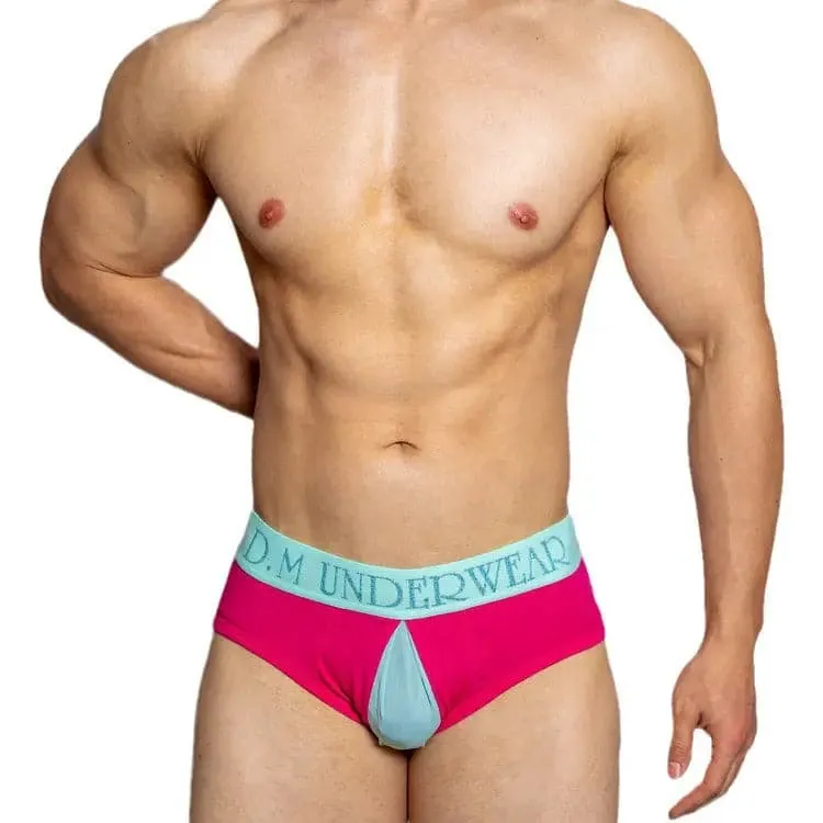 D.m Mesh men briefs underwear