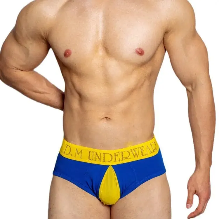 D.m Mesh men briefs underwear