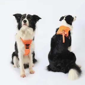 Dog Harness and Retractable Leash Set All-in-One