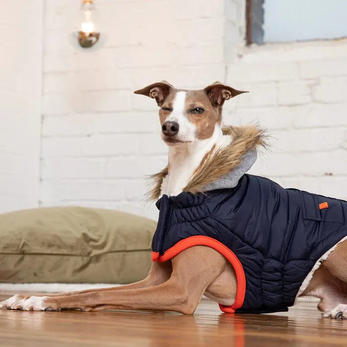 GF Pet Jacket Winter Sailor Parka