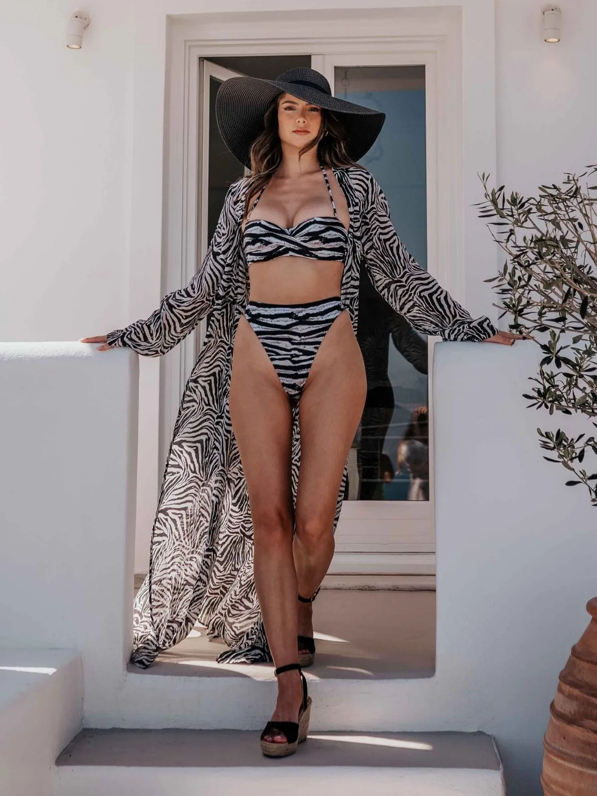 Maggie Sheer Maxi Beach Dress / Zebra