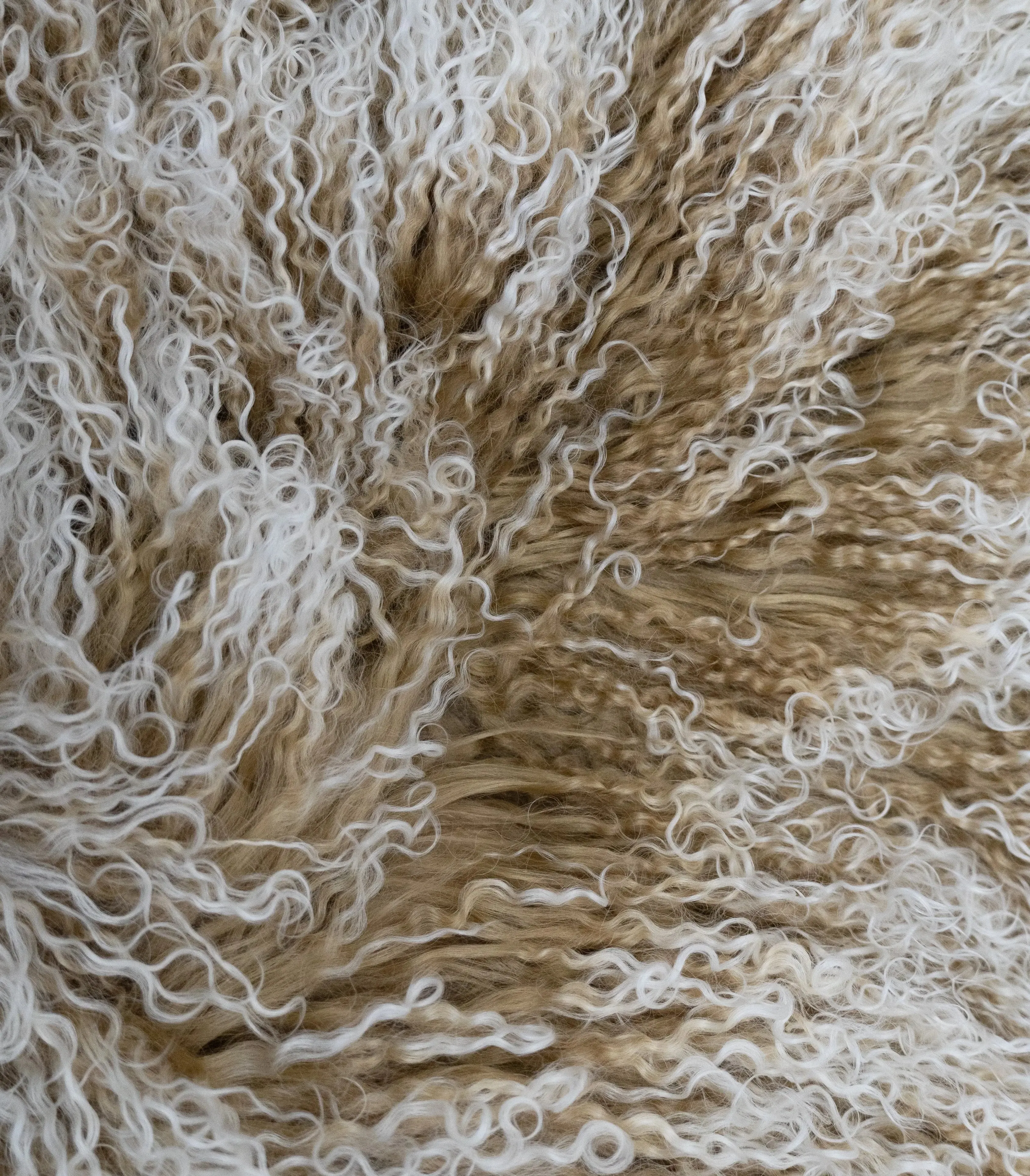 Mongolian Sheep Fur