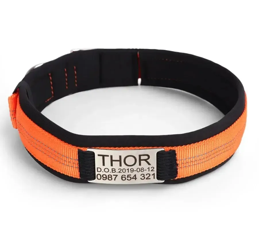 Personalized Premium Reflective Pet Collar