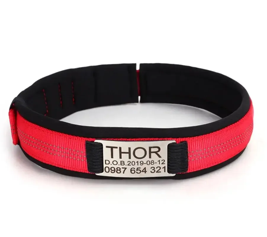 Personalized Premium Reflective Pet Collar