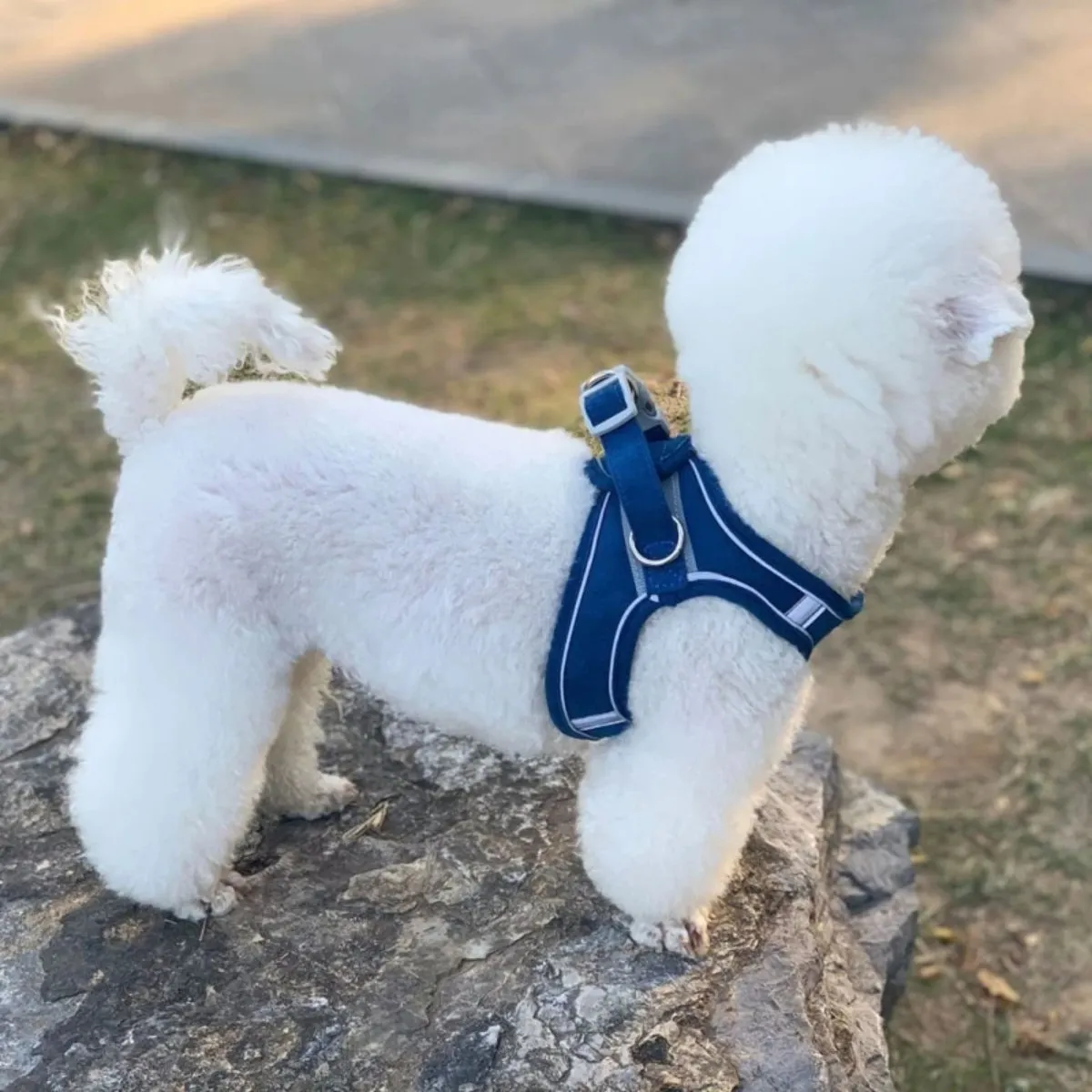 Pet Adjustable Reflective Chest Harness