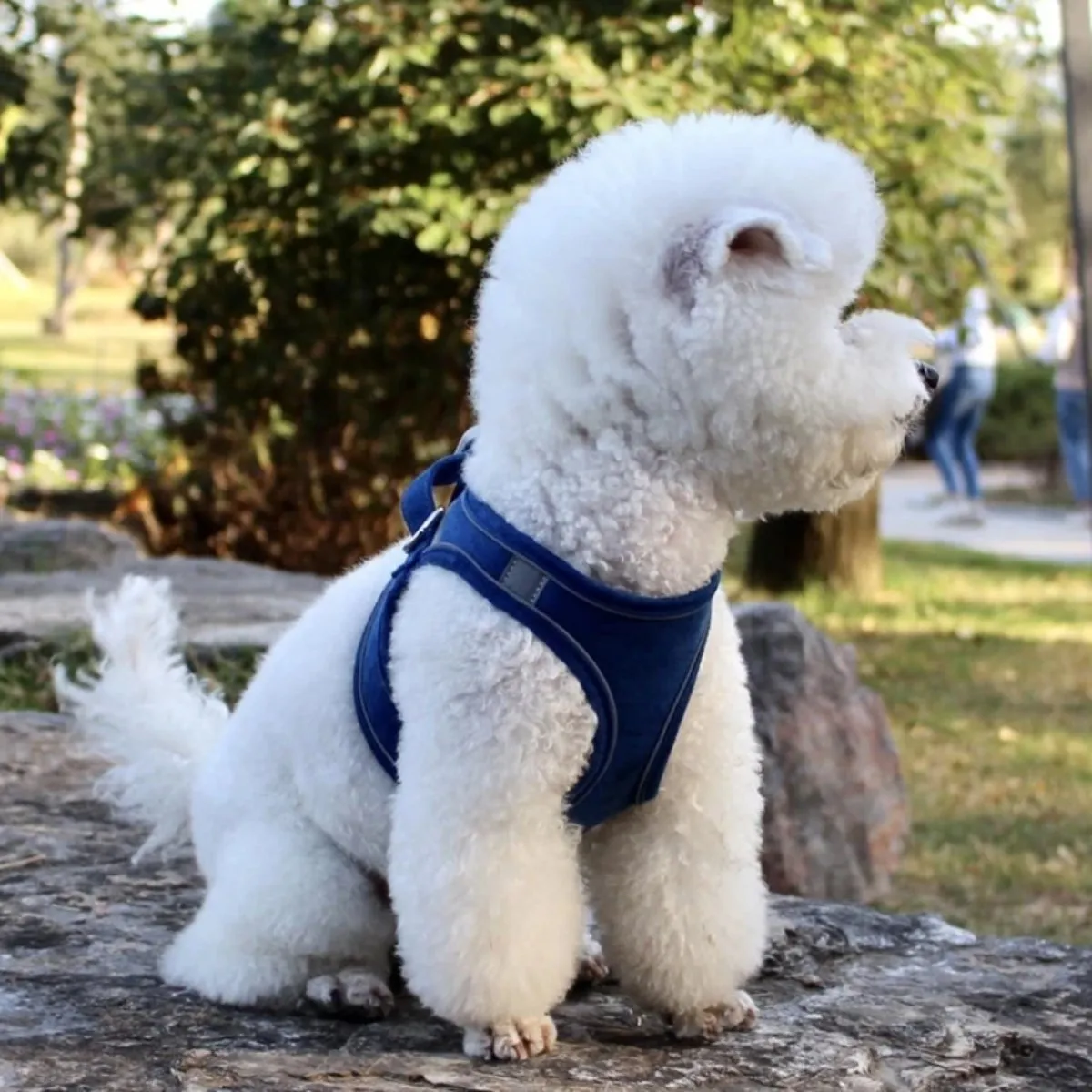 Pet Adjustable Reflective Chest Harness