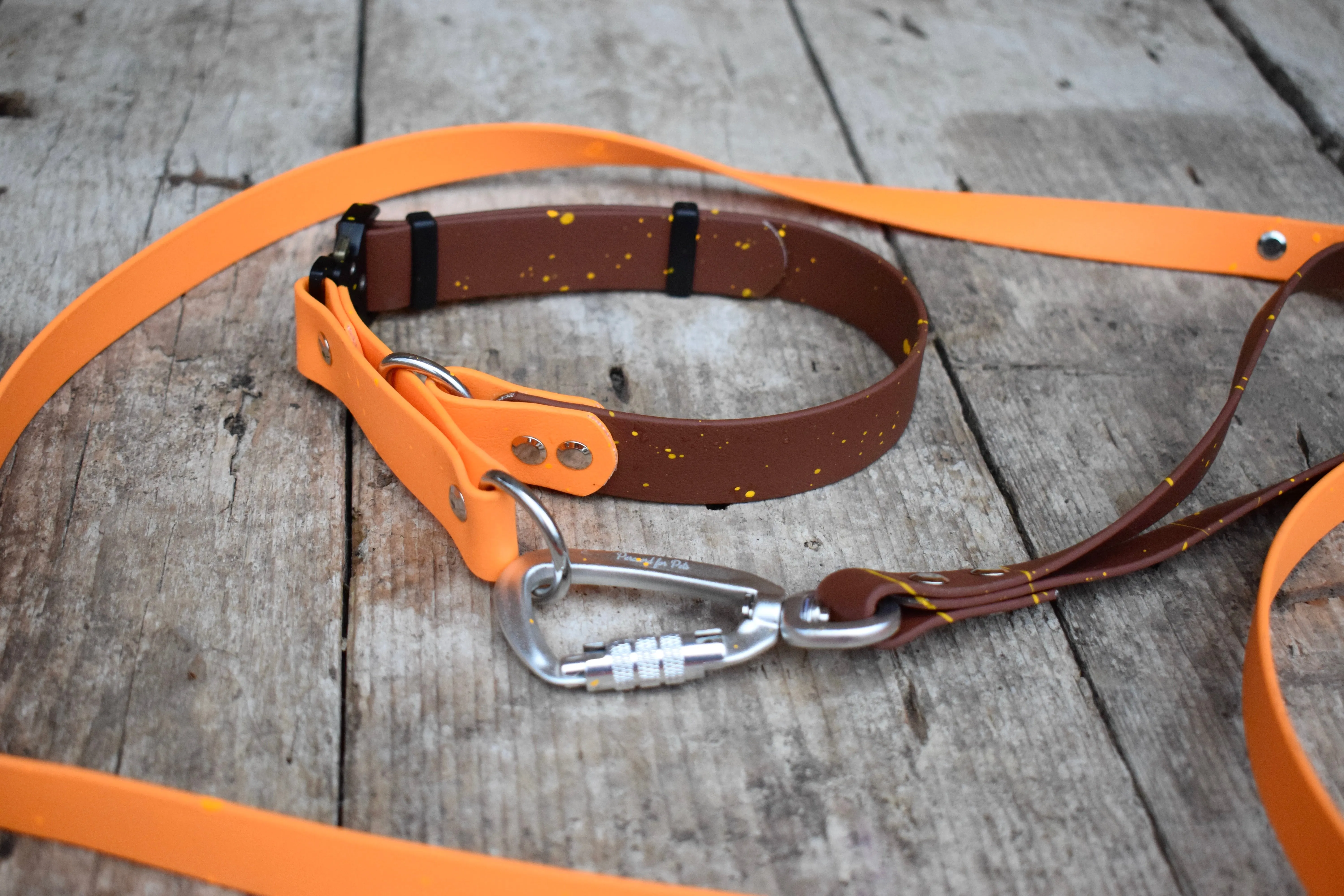 Quick Biothane slip-on collar with Cobra buckle