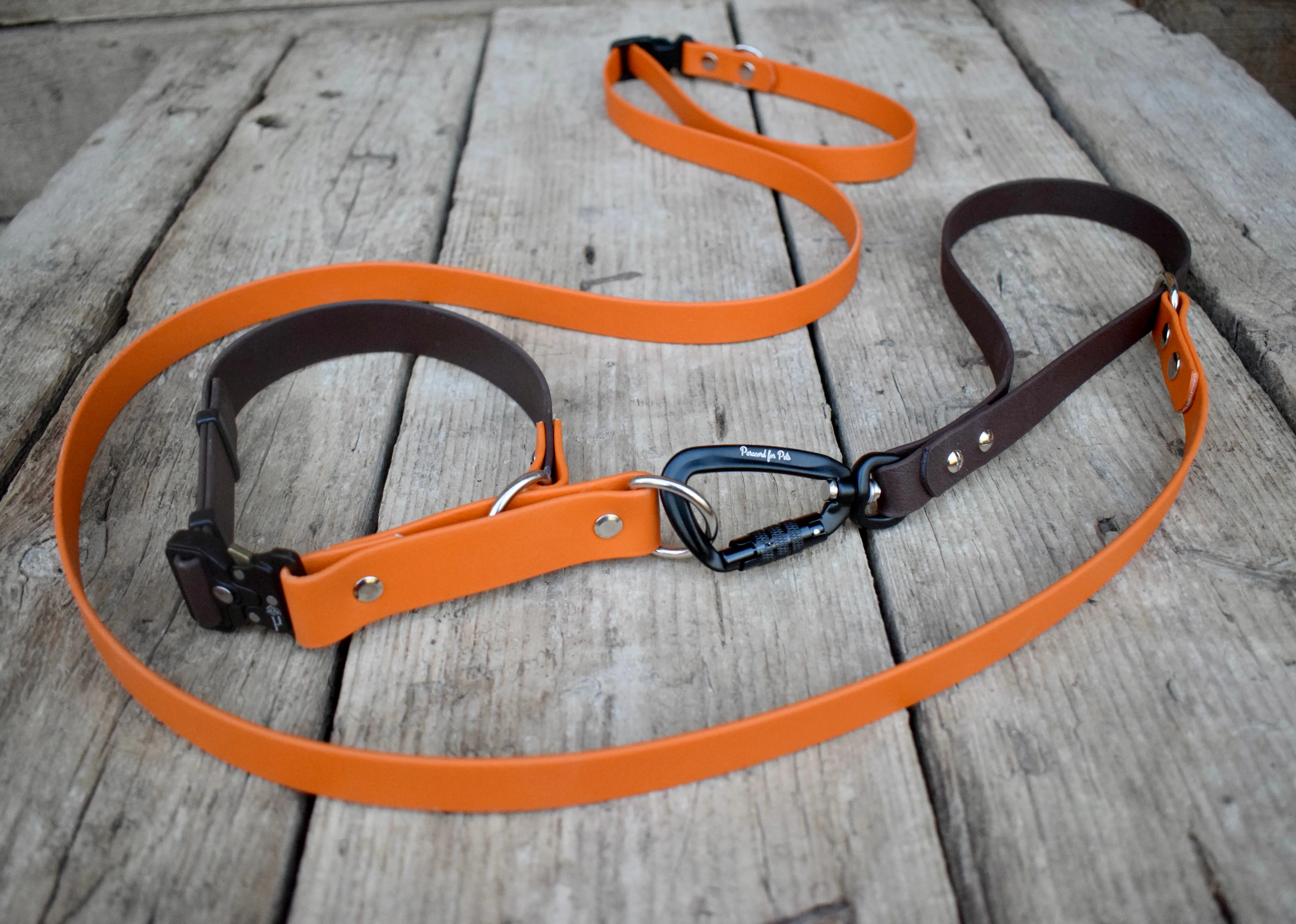Quick Biothane slip-on collar with Cobra buckle