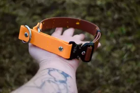 Quick Biothane slip-on collar with Cobra buckle