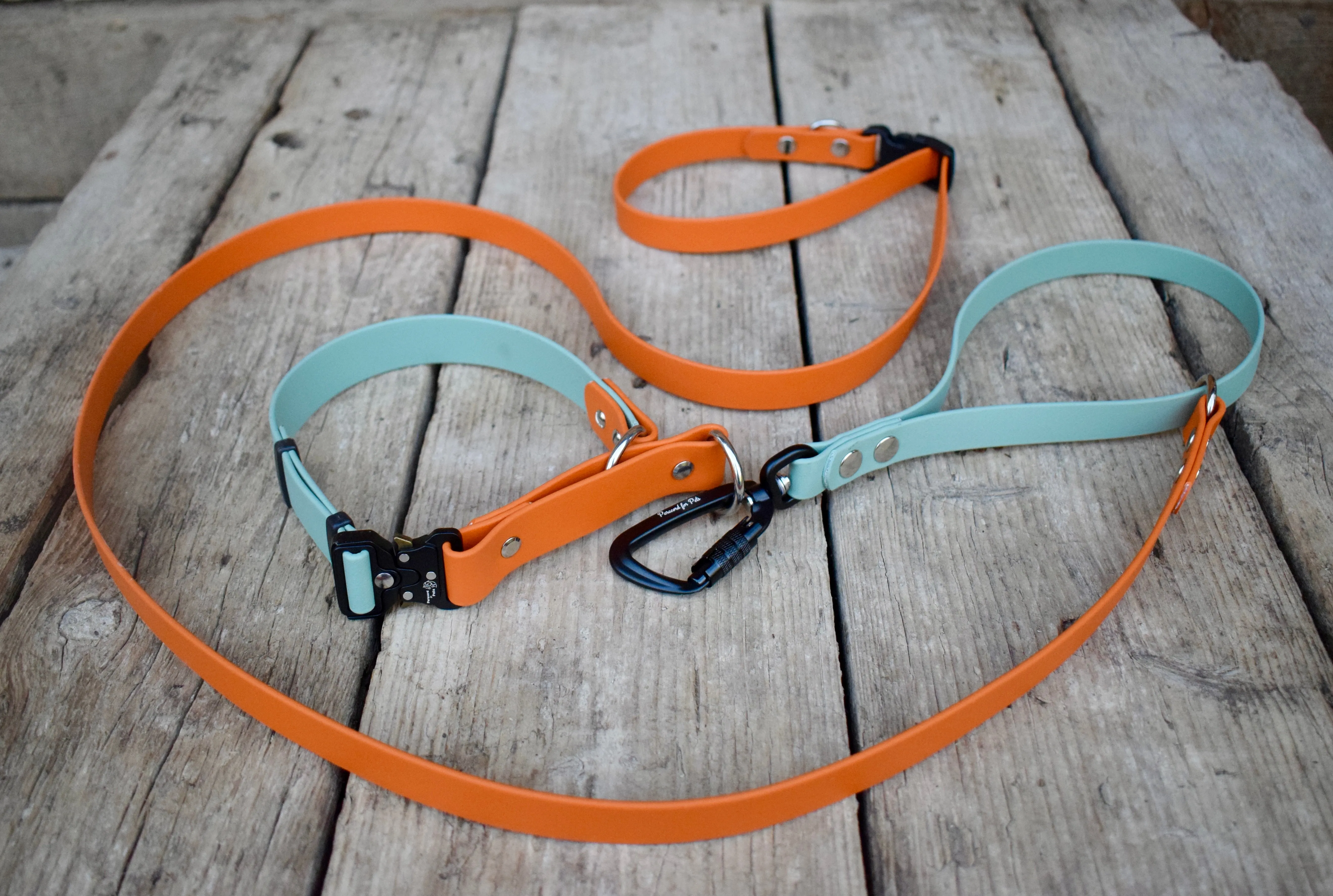 Quick Biothane slip-on collar with Cobra buckle