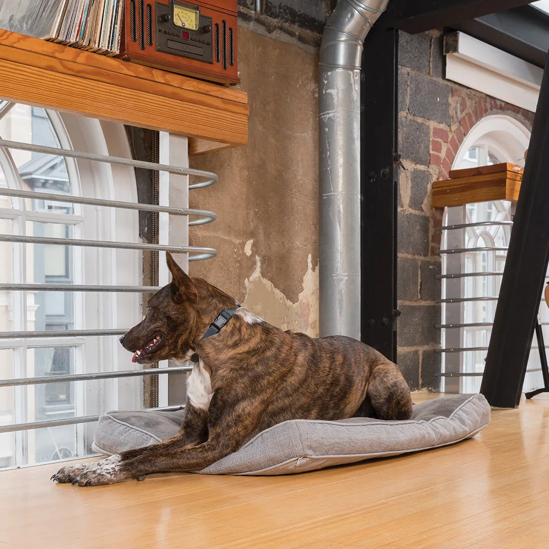 Rechargeable Bark Control