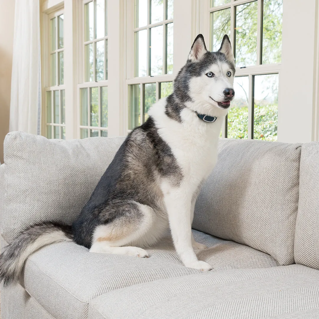 Rechargeable Bark Control