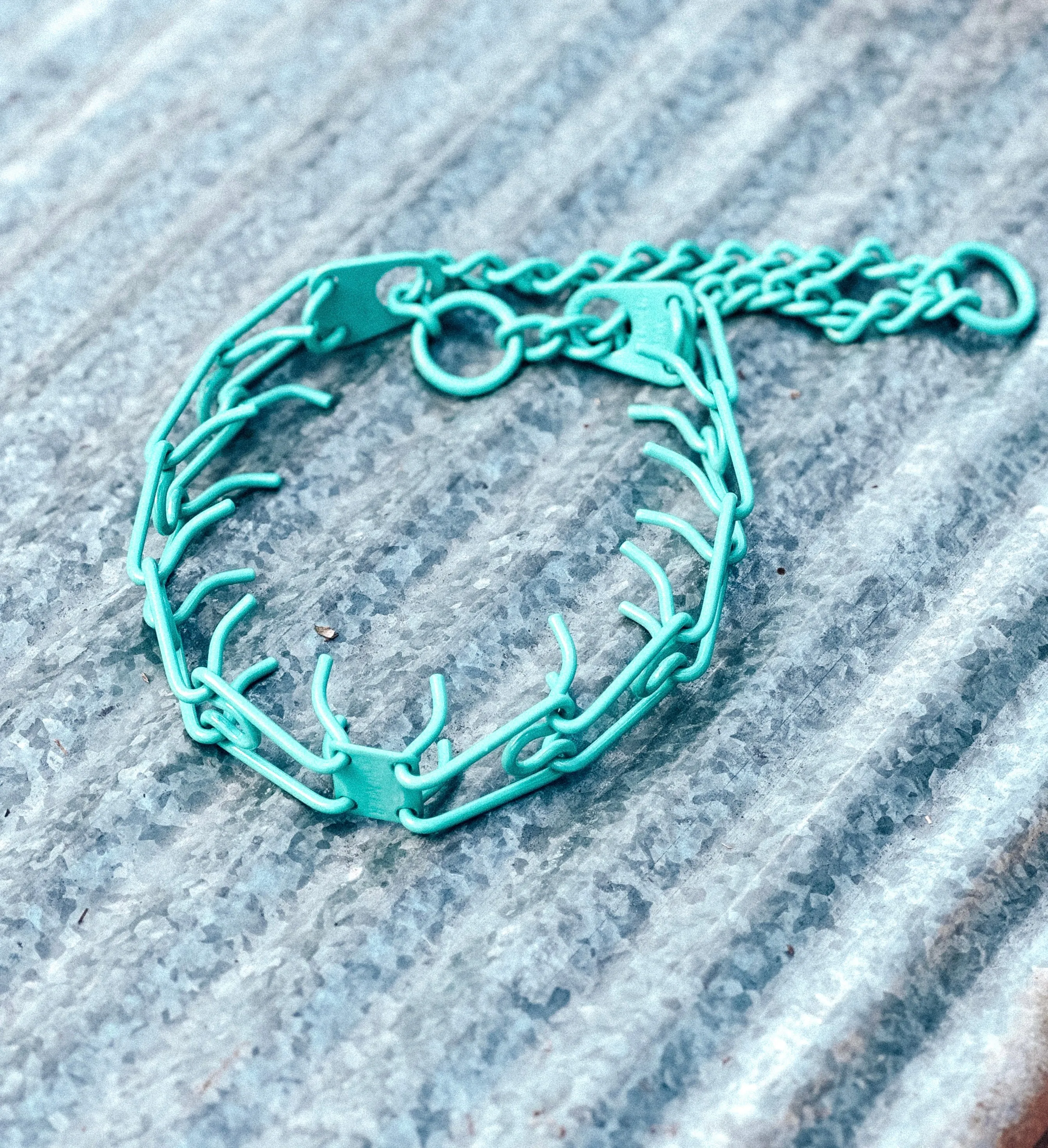 Seafoam Tiffs Custom Powder Coated Herm Sprenger Prong Collar for Dogs