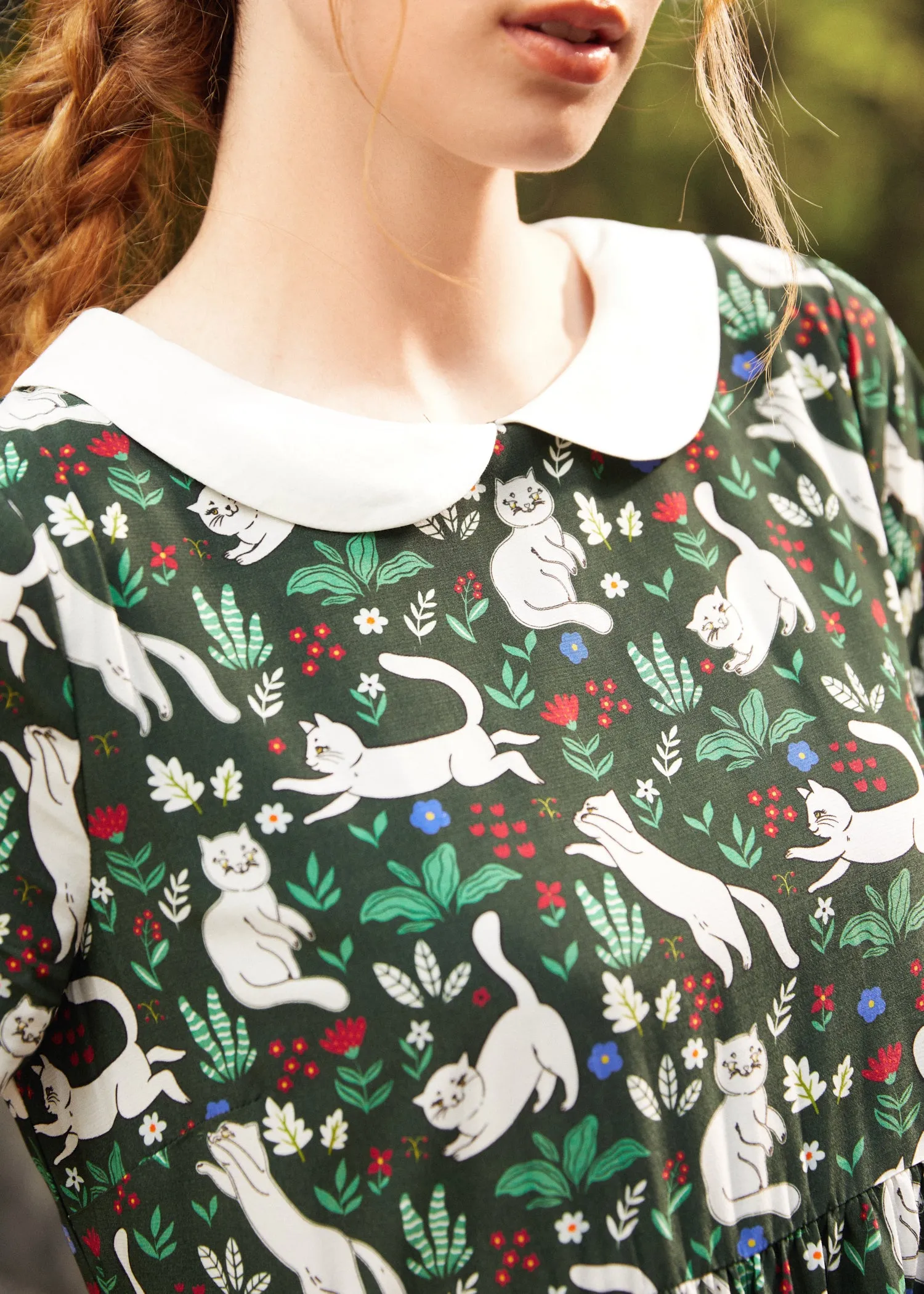 Whimsy & Wonder Collar Empire Dress